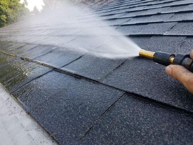 Roof cleaning and soft washing