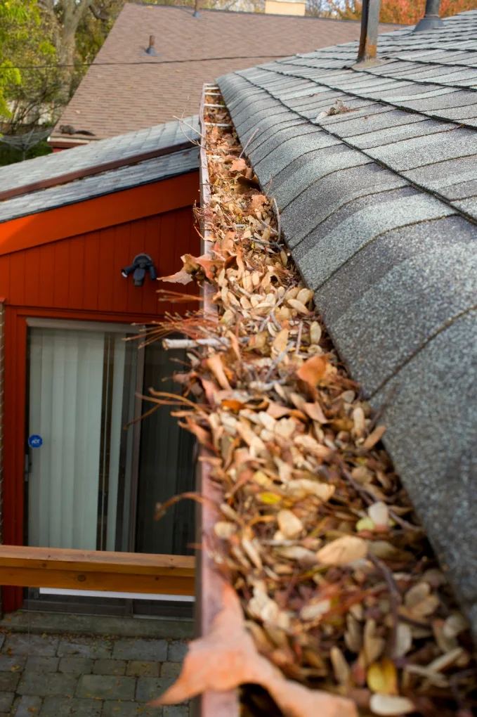 Gutter packed with leaves before cleaning