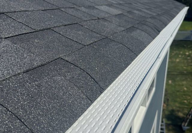Proflow aluminum gutter guard installed along a roof edge