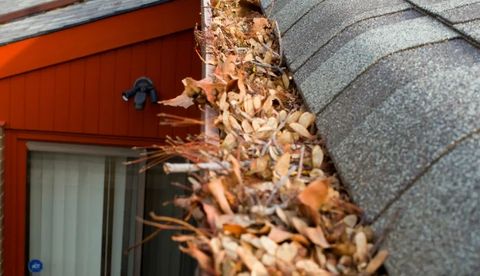 Leaves being removed from a clogged gutter